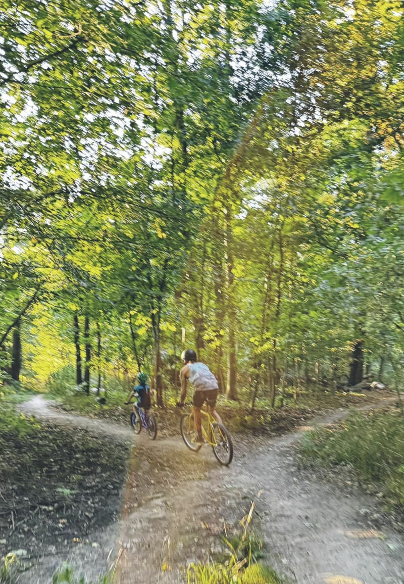 Leśna trasa - Wrocław