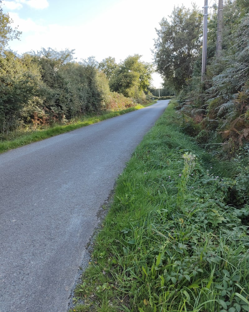 Boucle n165 lac Savenay - Malville