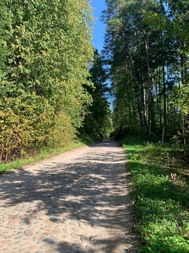 Północno-zachodnie okolice Dobrego Miasta - Dobre Miasto