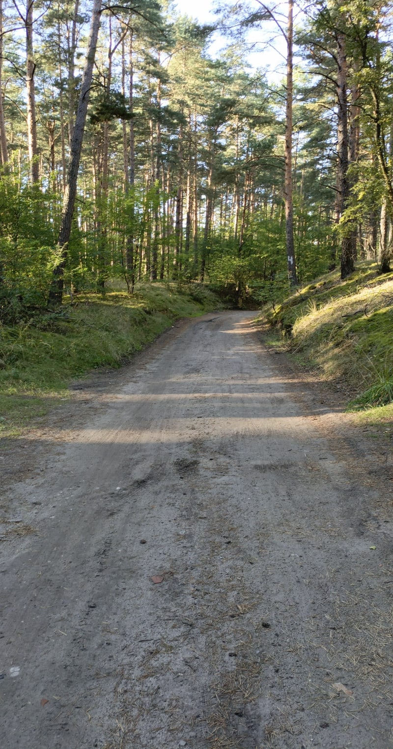 Trekking leśnymi ścieżkami - Bydgoszcz