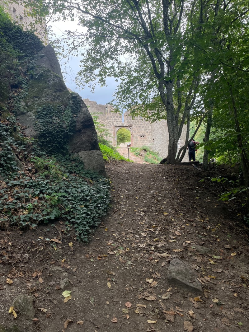 Balade en forêt entre 2 châteaux - Andlau