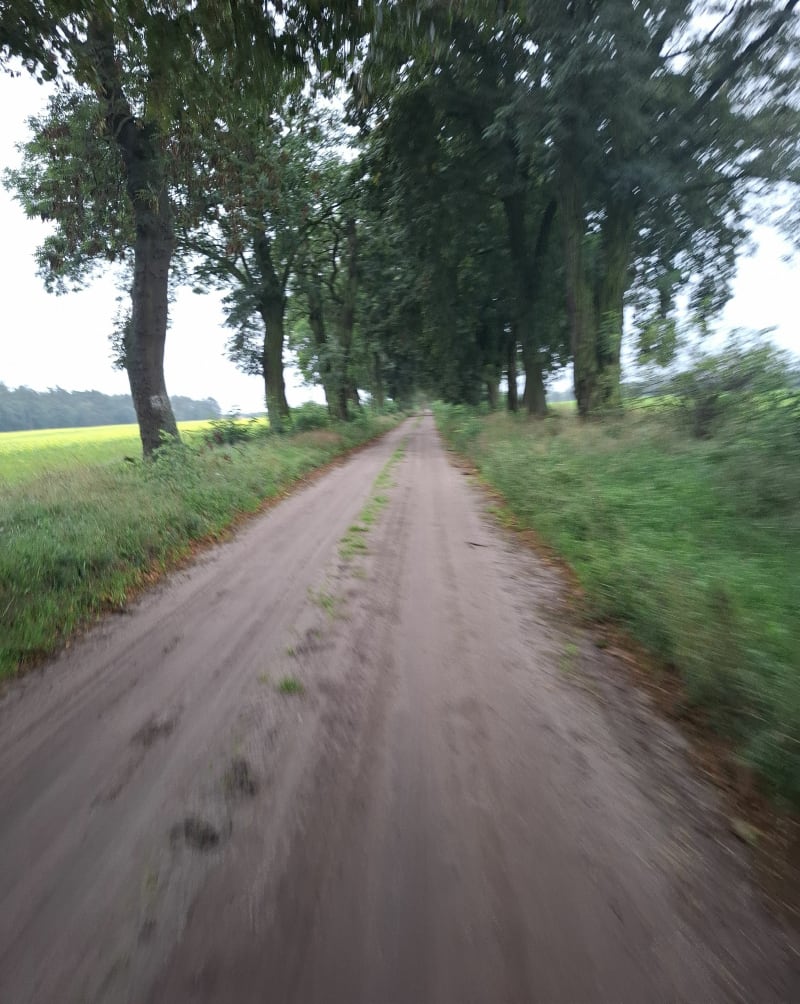 Przyjemna trasie do Rogalinka z Tulec - Tulce