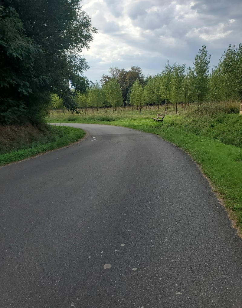 Randonnée calme en Prairie des Barthes - Pontonx-sur-l'Adour