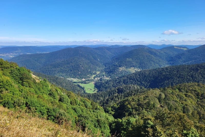 Randonnée Alsace : vue depuis le sentier du Ballon d'Alsace