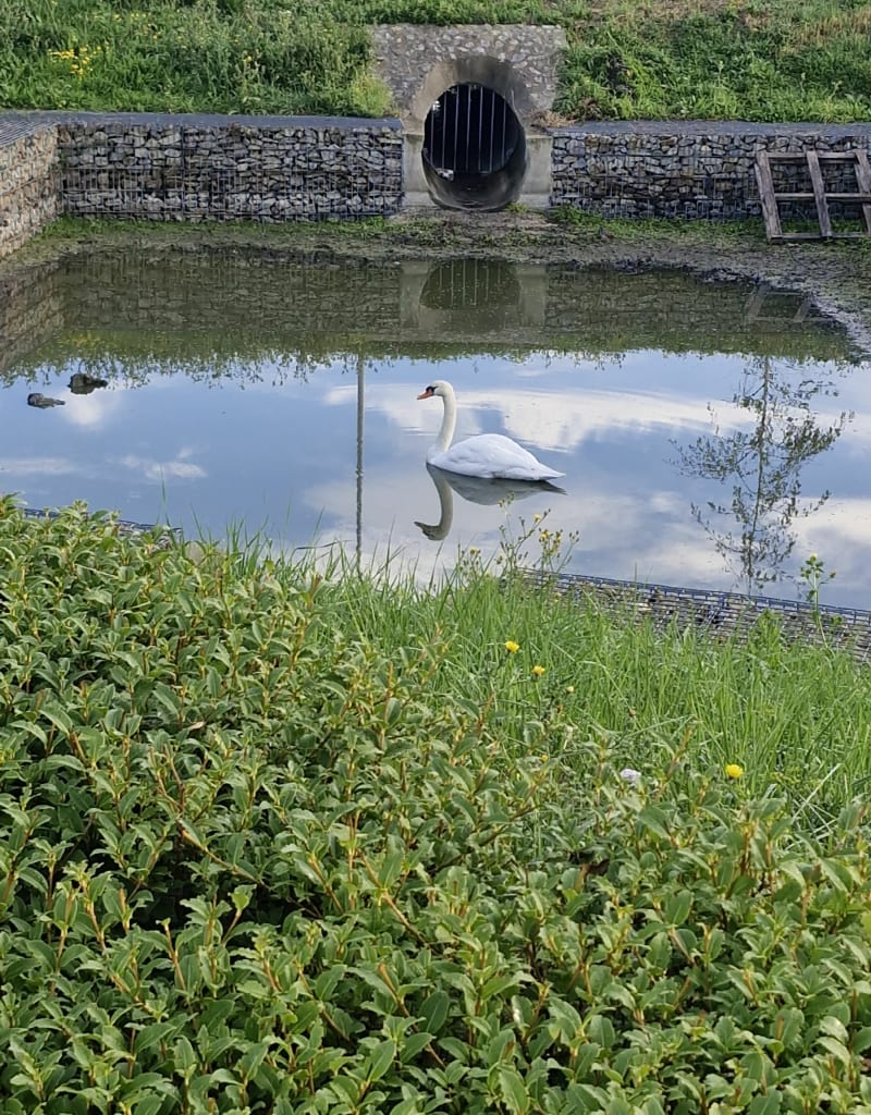 La campagne et les hauteurs d'Honfleur - La Rivière-Saint-Sauveur