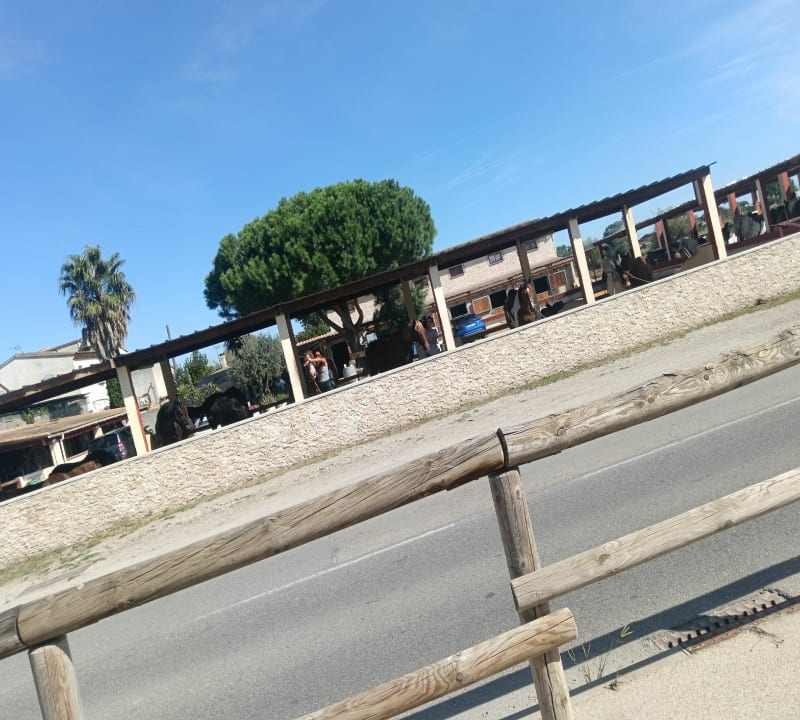 Petite rando tranquille au Grau-du-Roi - Le Grau-du-Roi