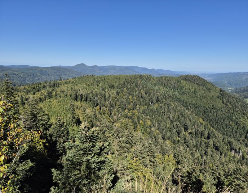 Château de Salm et vue panoramique de la Chatte Pendue - La Broque