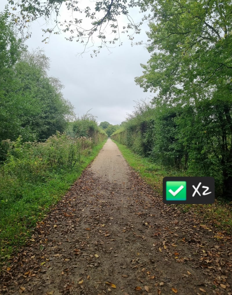 Rando le long des étangs et rigoles d'Yvelines - Les Bréviaires