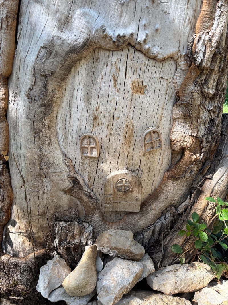 Balade en forêt de Géovreisset - Oyonnax