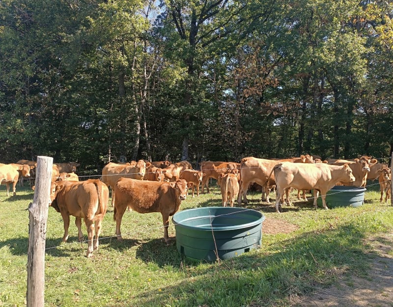 Chemins de La Chaize - Bersac-sur-Rivalier