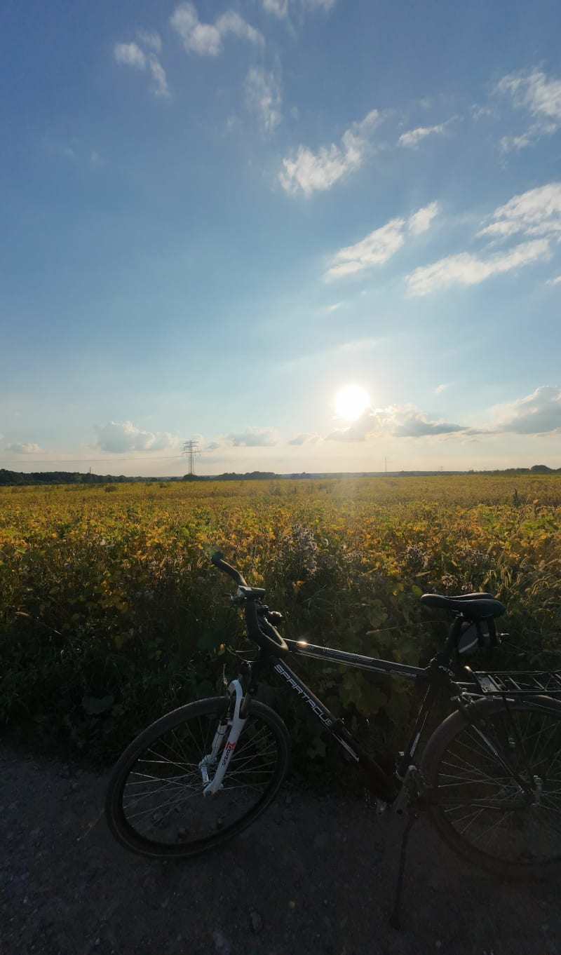 Knurów, pętla i Bojkow - Knurów