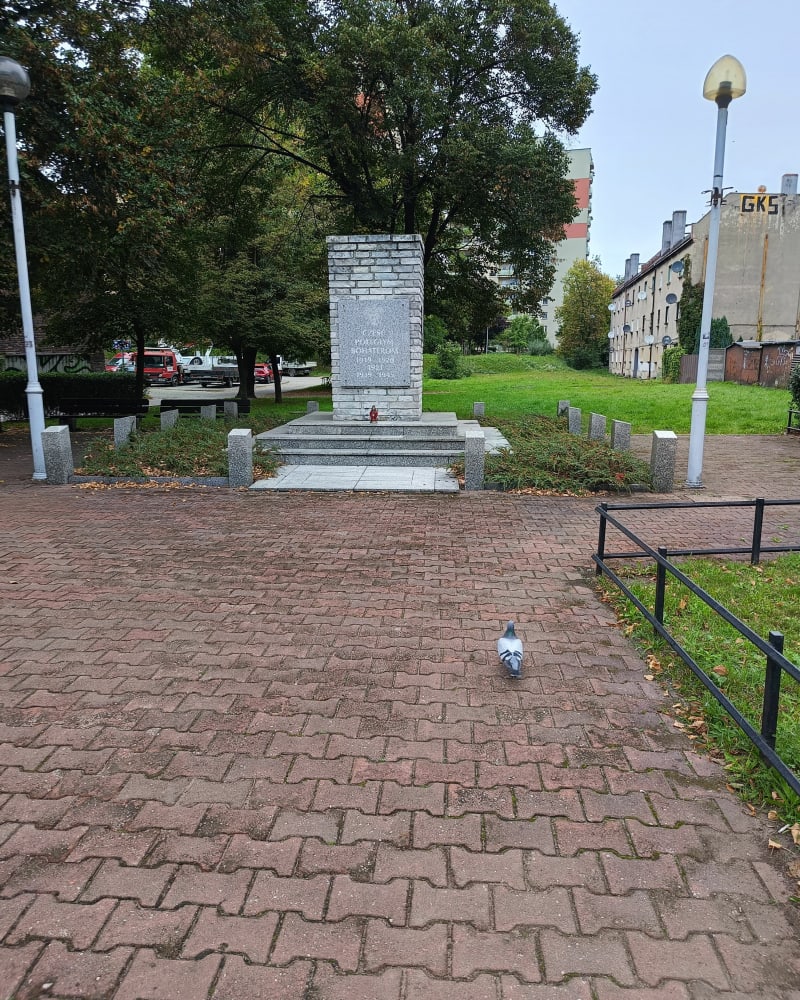Spacerze psem dookoła osiedla Wajdy - Katowice