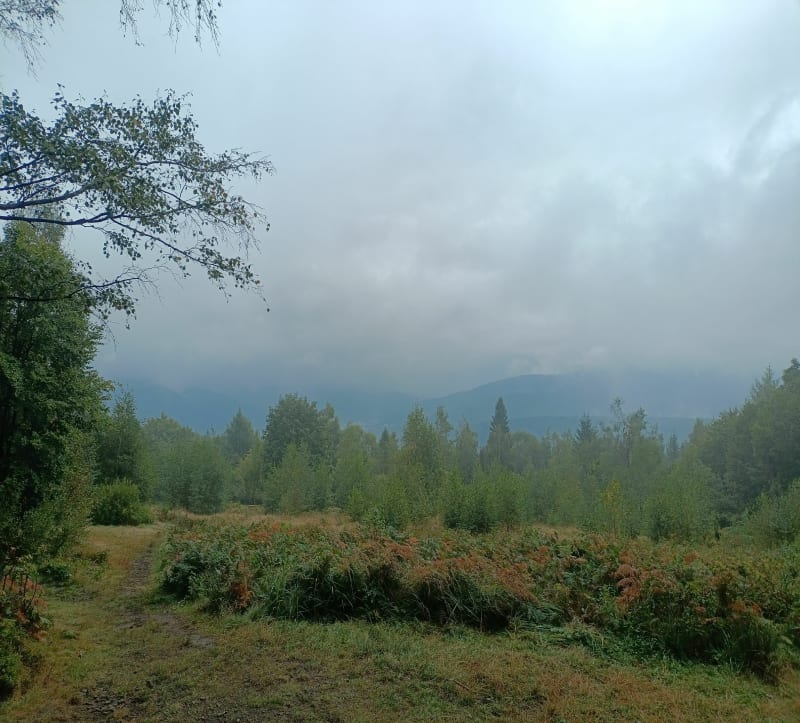 Beskid Mały - Hrobacza łąka - Kozy