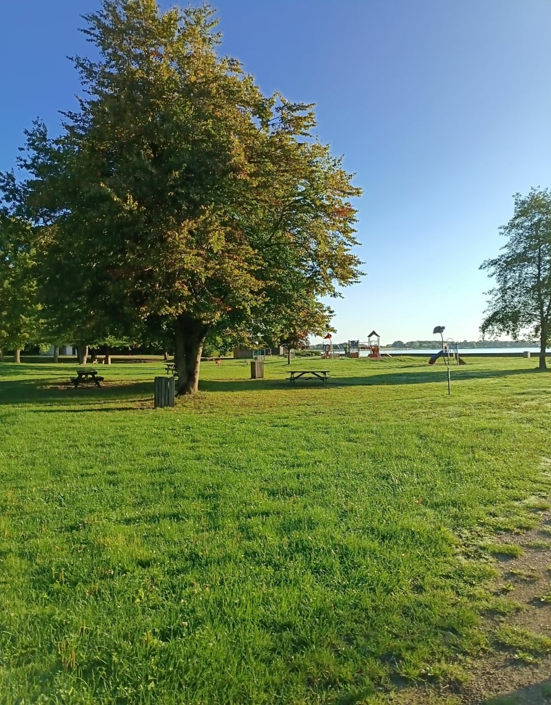 Promenade du port Giffaumont - Giffaumont-Champaubert