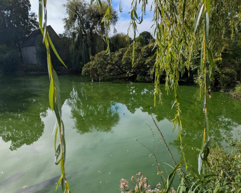 Tour du grand et petit Samoi - Saint-Pierre-du-Regard