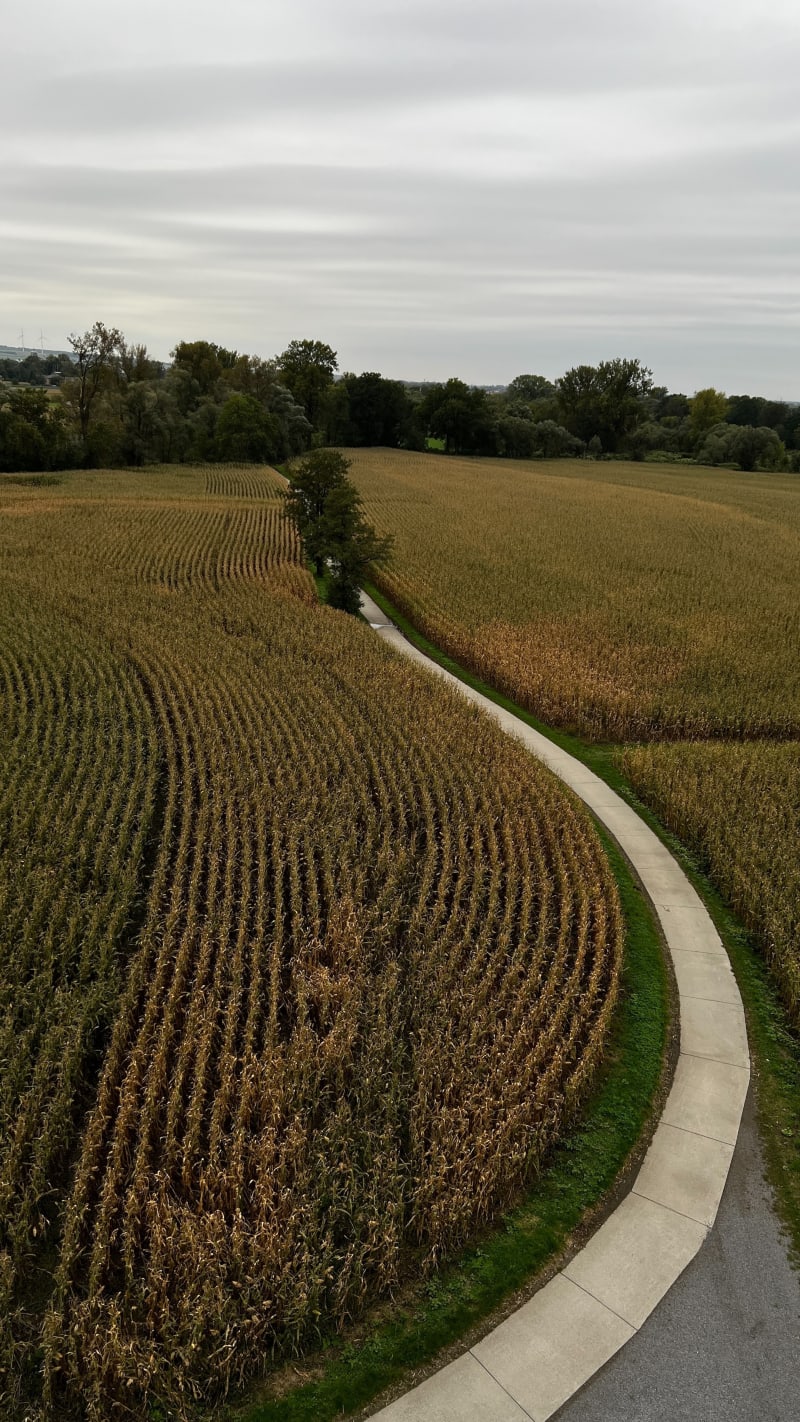 Graniczne Meandry Odry - Zabełków