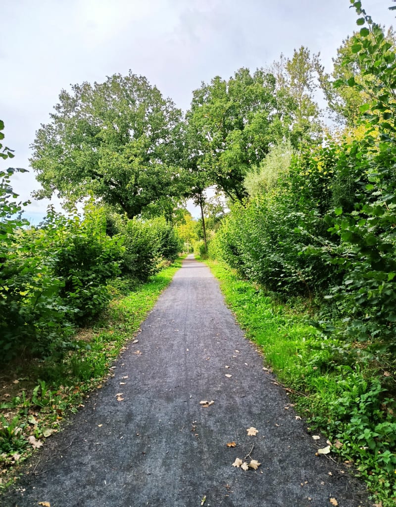 La voie verte jusqu'à marchiennes après rieulay et somain - Fenain