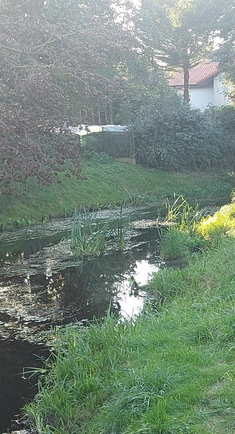 Spacer przez trzy osiedla - Szczecin