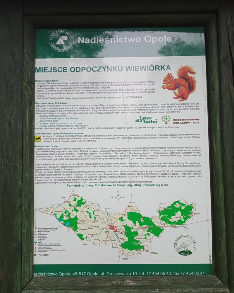 Miejsce odpoczynku Wiewiórka - Schodnia - Schodnia