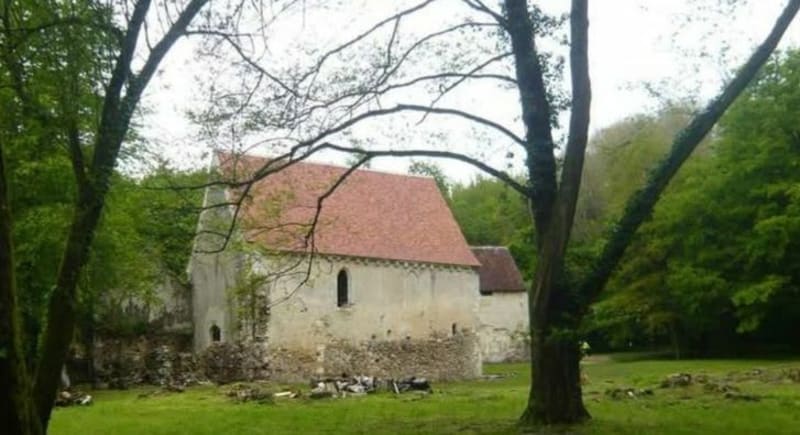 Forêt d'Allogny - Allogny