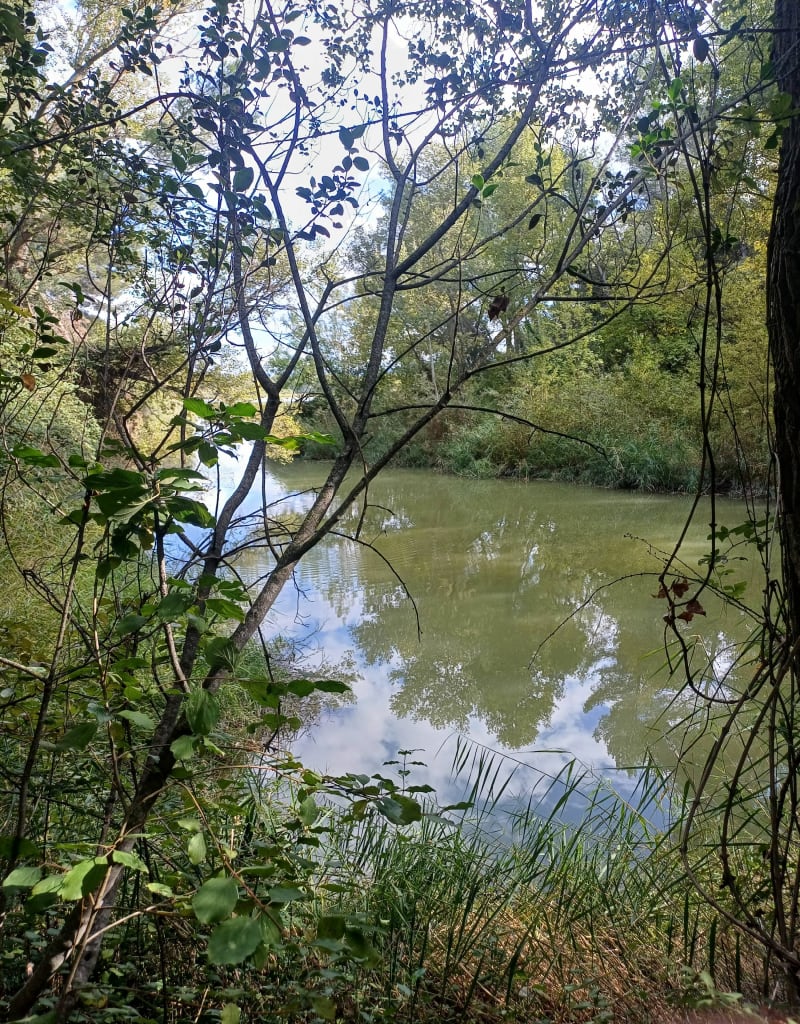 Balade au bord de la Durance - La Roque-d'Anthéron