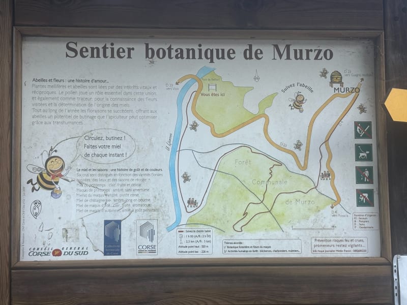 Sentier botanique de Murzo - Murzo