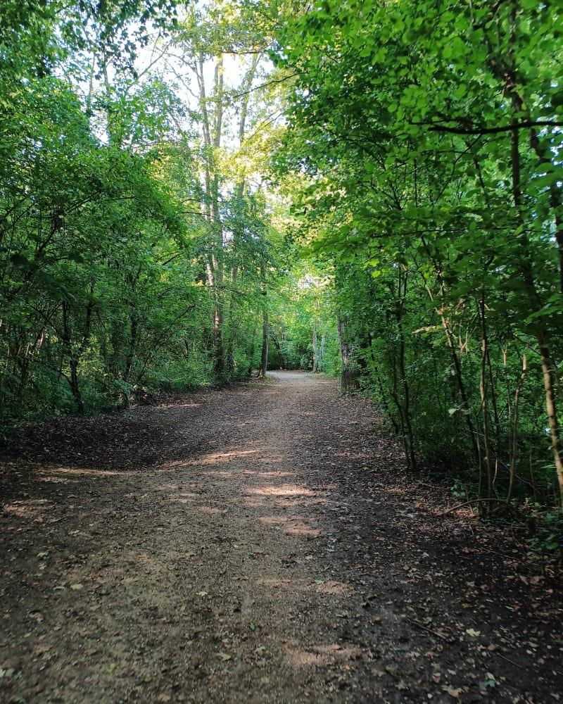 Sentier de la vieille Chopine, par Tramont - Vandeléville