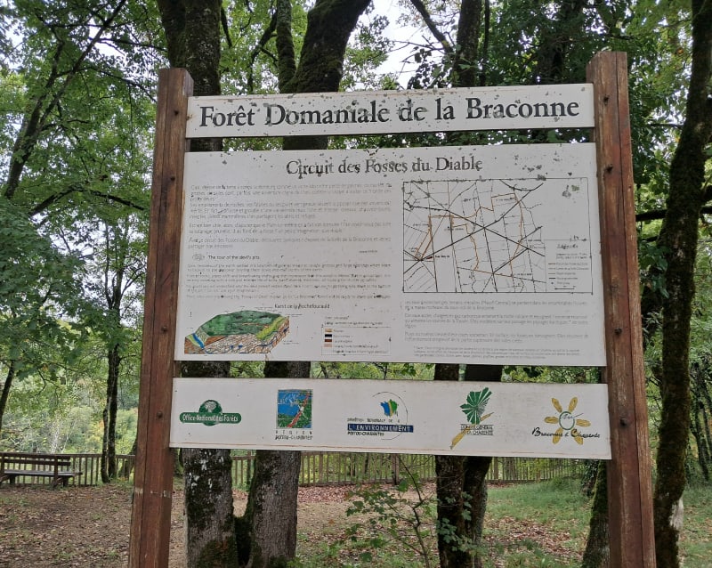 Promenade dans la forêt domaniale de la Braconne de Grande Fosse - Brie