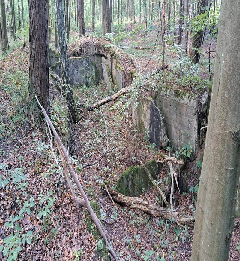 Ruiny Bunkra i Lezyce - Rumia
