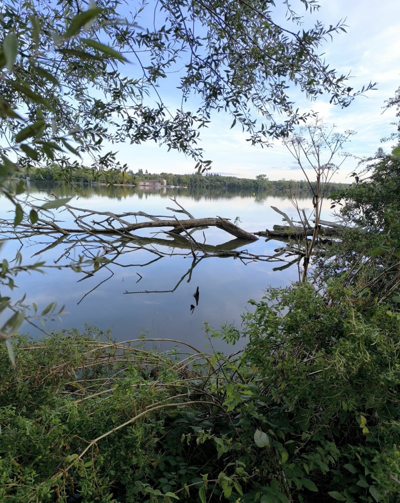 Petite marche autour de l'Etang du Vignoble - Trith-Saint-Léger