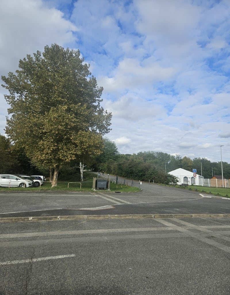 Bois de Pau - Pau