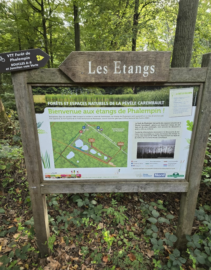 Direction la forêt de Phalempin - Carvin