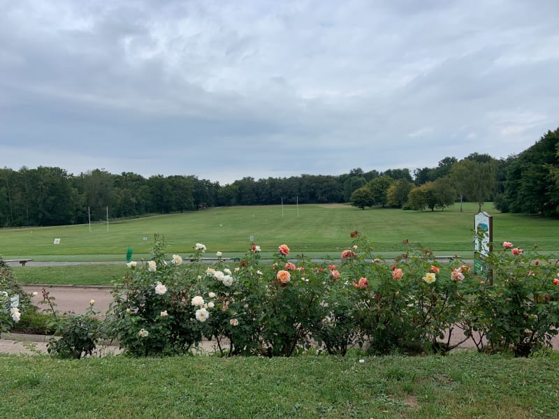 Bois d'Holnon, par Attily - Holnon