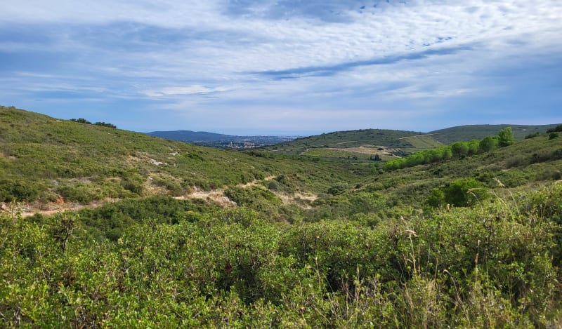 Boucle au départ de la forêt de Poussan - Poussan