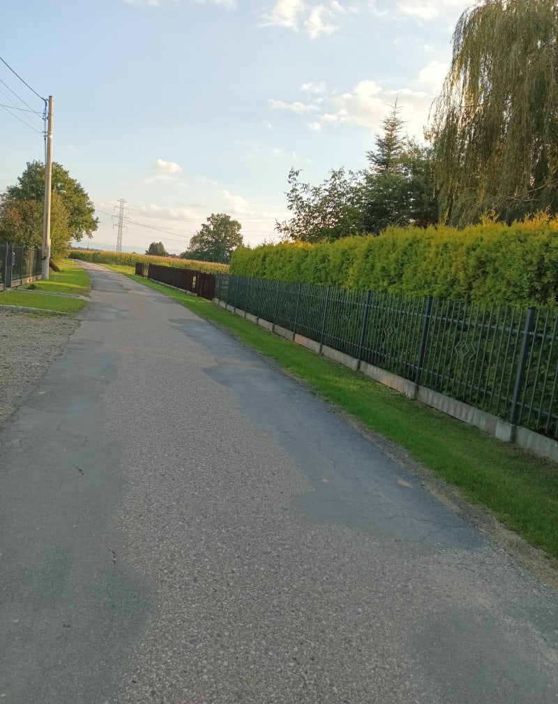 Spacer po wsi i Brzezówka - Brzezówka