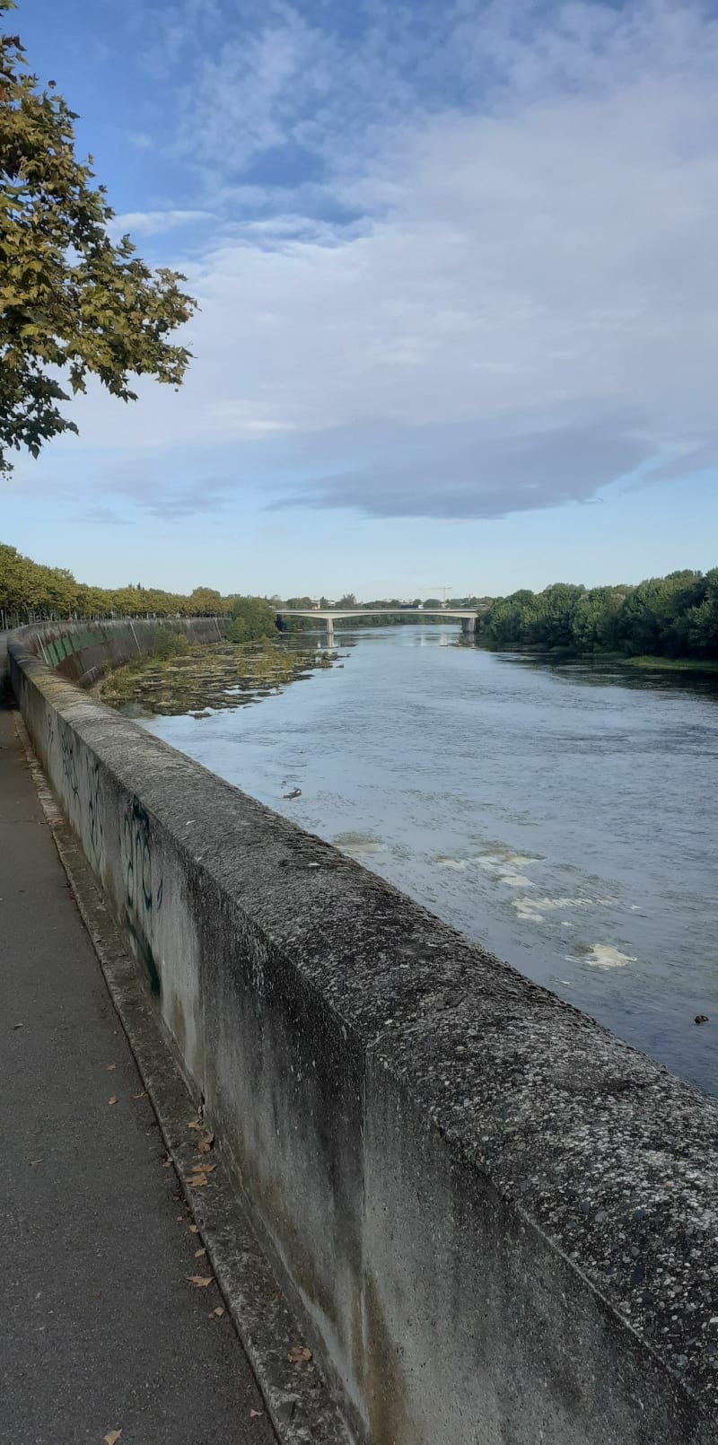 Toulouse au bord de l"eau - Toulouse