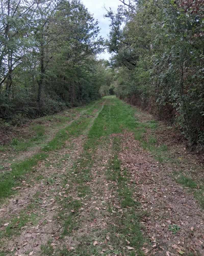 Sentier  des pêcheurs à Coulonges-les-Hérolles - Coulonges-les-Hérolles