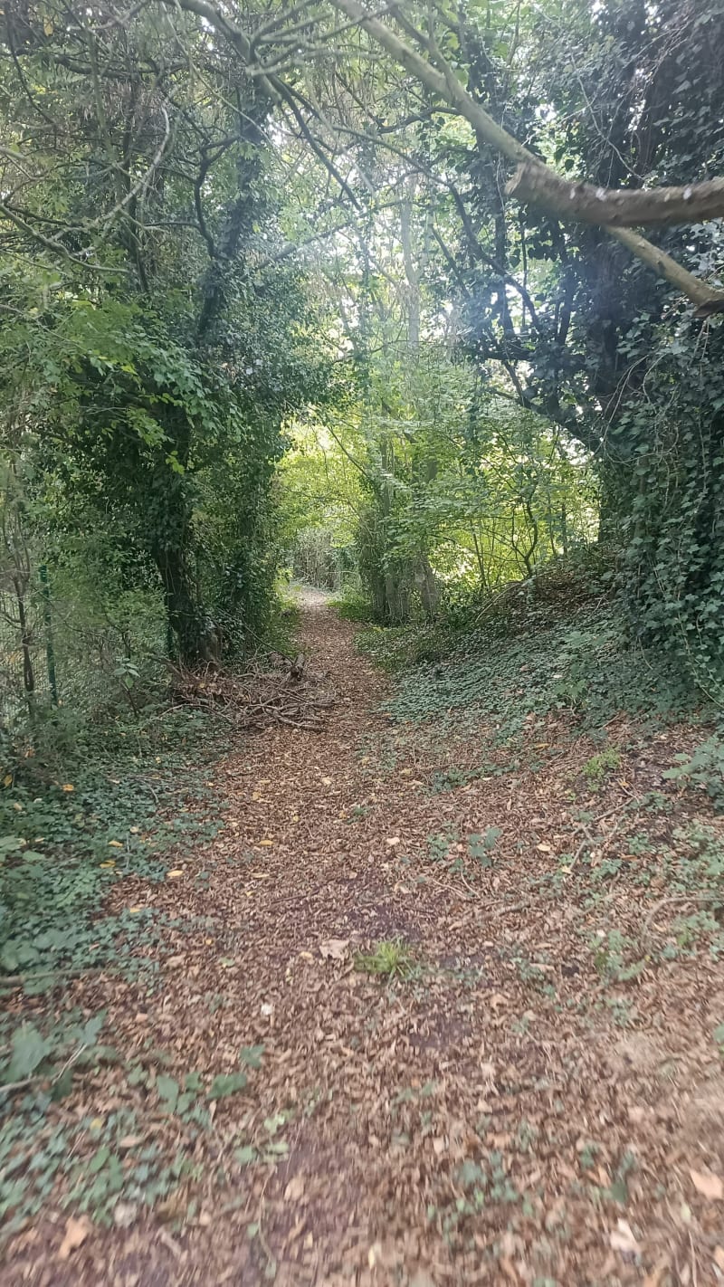 Houlpays nifiet fayenbois - Liège