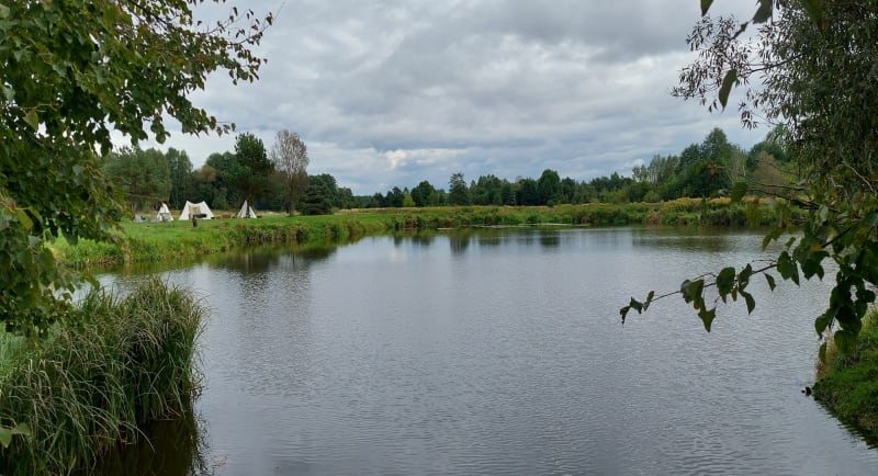 Okolice Nowego Stawu - Nowy Staw