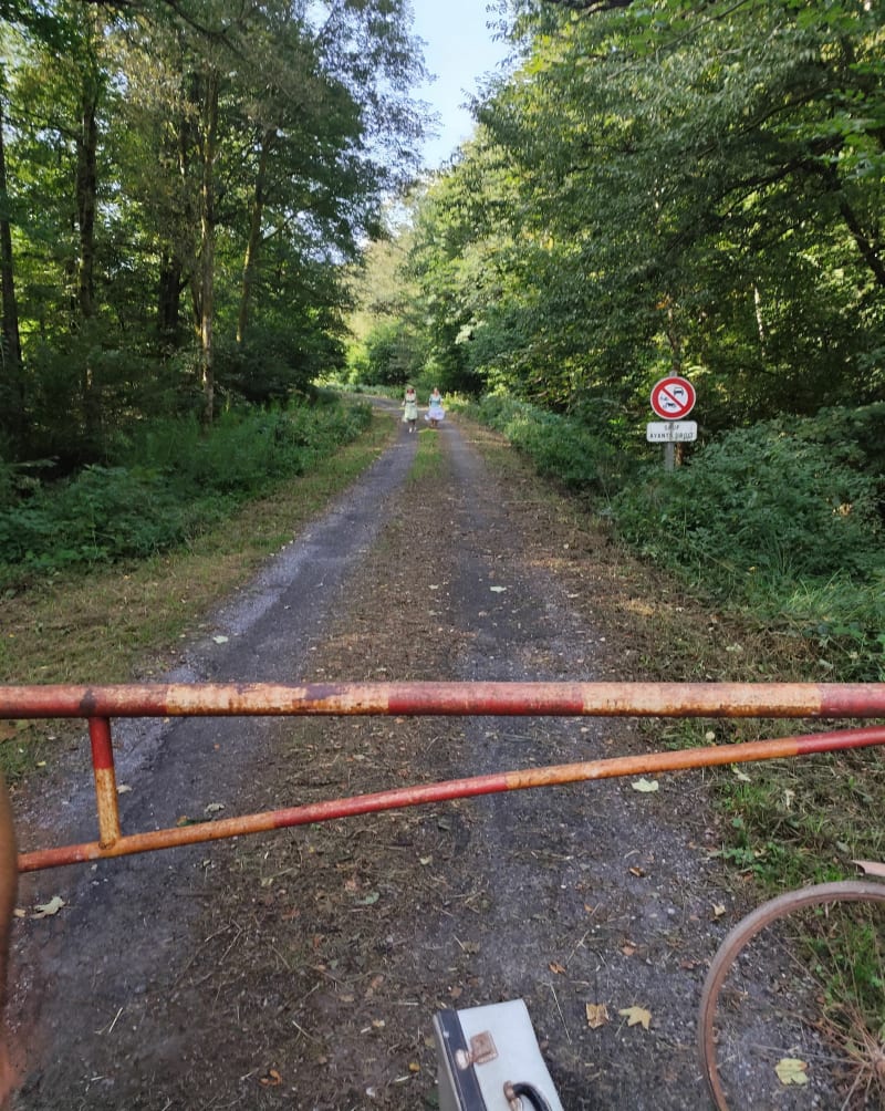 Loop in de buurt van Cendron de Forge-Phillipe - Momignies