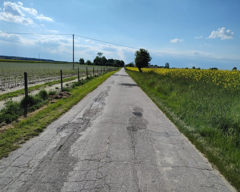 Bardzo fajna trasa szosowa - Podole