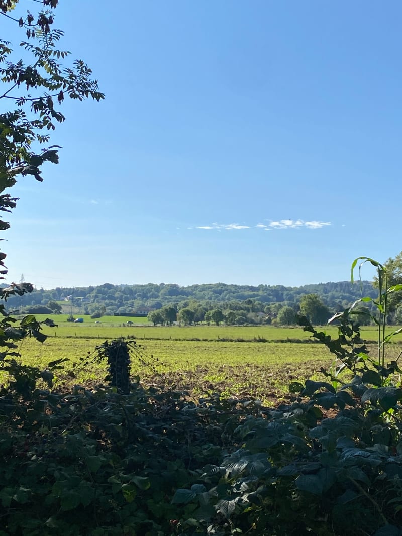 Balade autour de Puy Plantas - Orcines