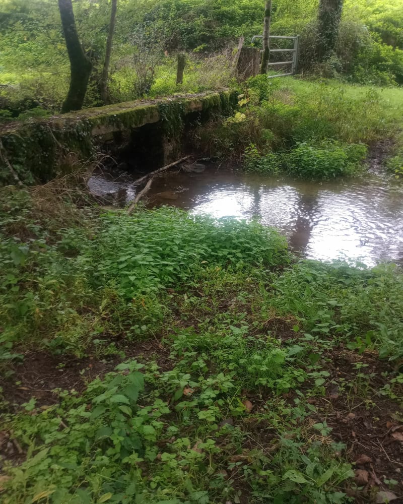 Petit tour autour de Montbazens - Montbazens