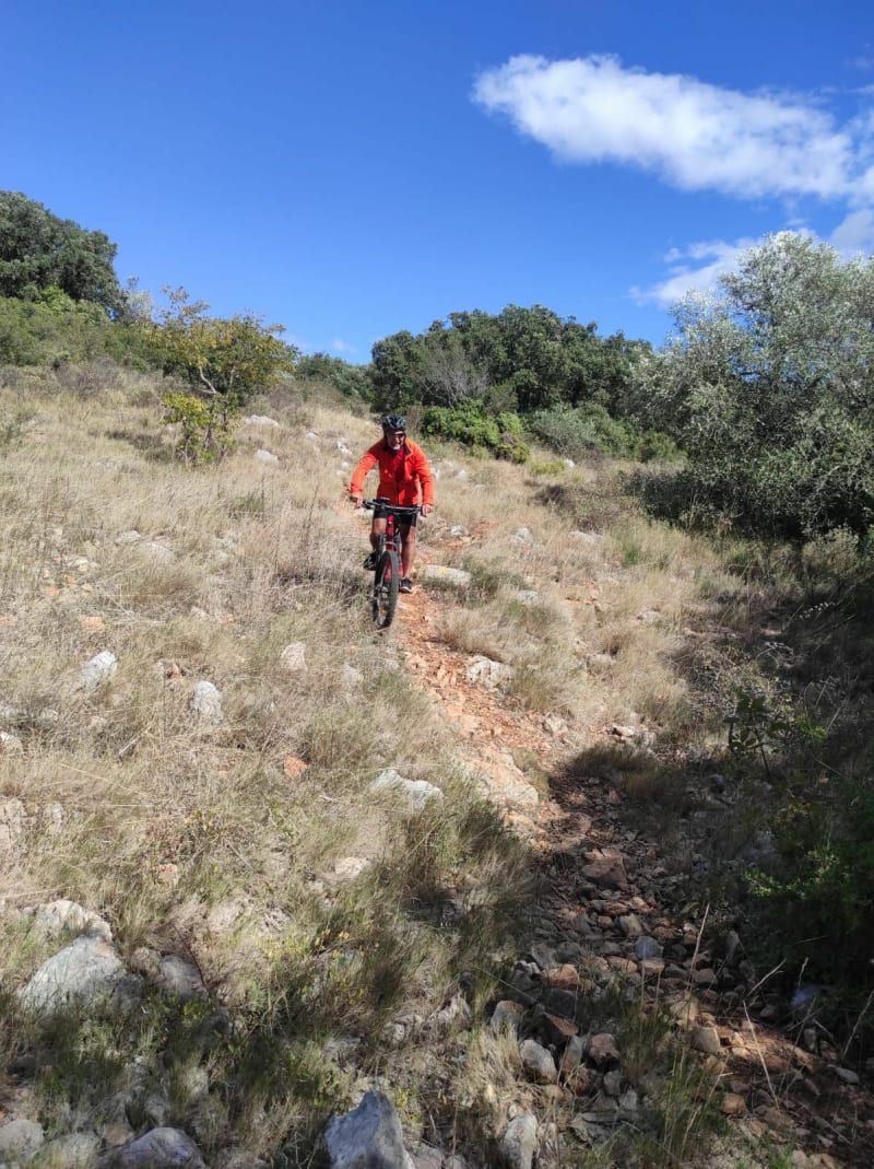 De Garrigue à la Gardiole - Cournonsec