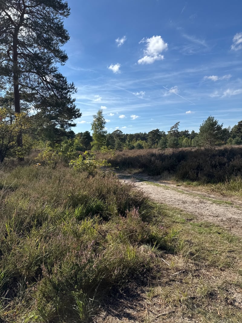 Langs de Nete het bos in - Herentals