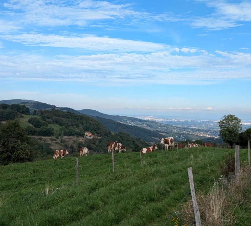 Saint-Martin-en-Haut et Duerne - Saint-Martin-en-Haut