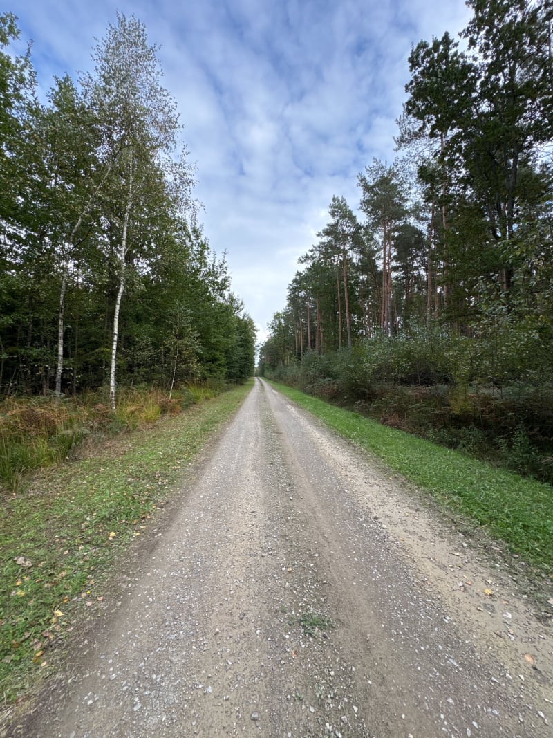 Grzybobranie  koło Radawy - Radawa