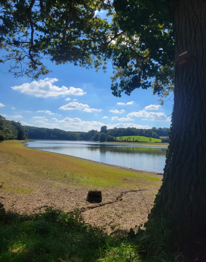 Lac du jaunay - Saint-Julien-des-Landes