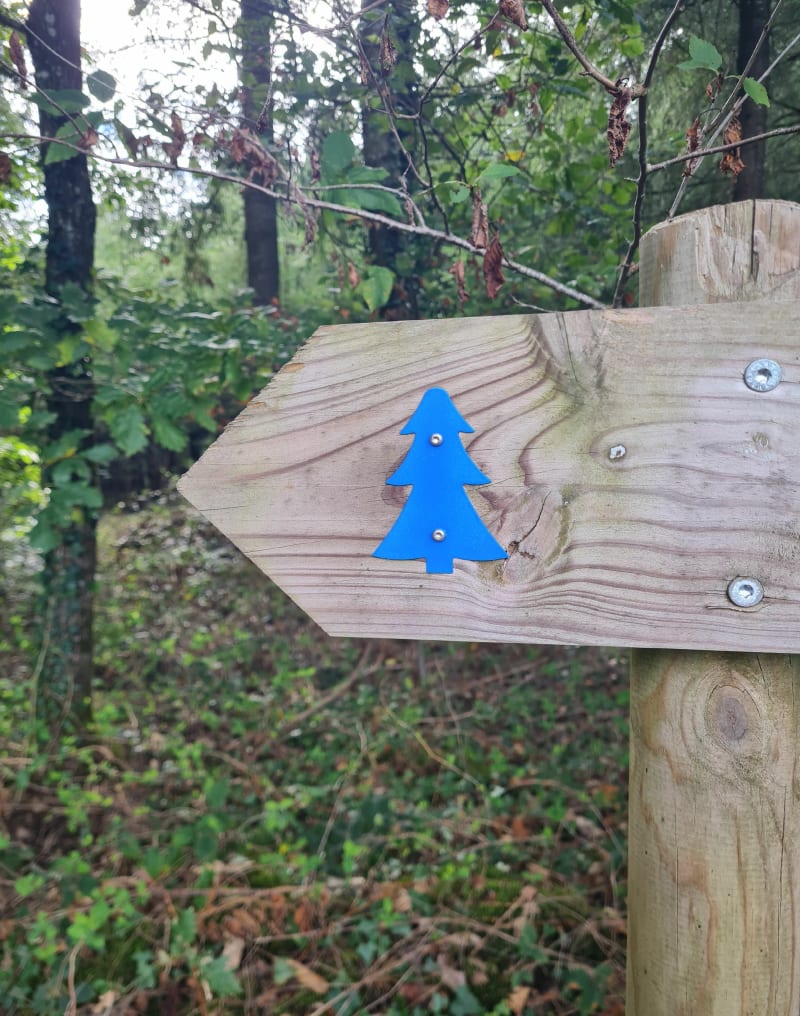 Circuit bleu à Claveisolles - Claveisolles