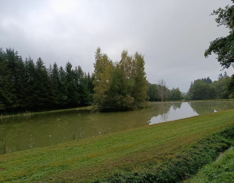 Boucle depuis Planchers-Bas ( 70) - Plancher-Bas